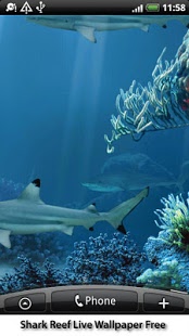 Download Shark Reef Live Wallpaper Free